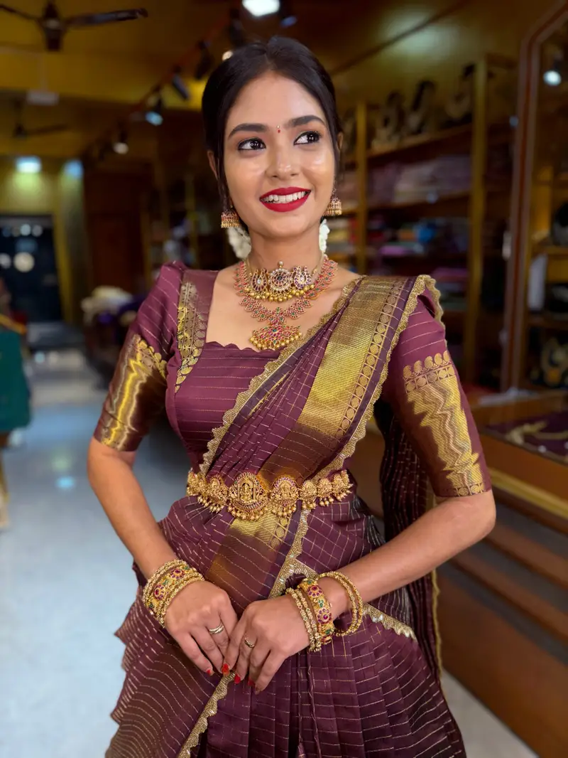 Coffee Tissue Checks Half Saree - Image 2